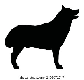 Alaskan Husky Silhouette. Art vector icon isolated on white background.