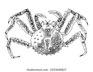 Alaskan King Crab hand drawn vector illustration