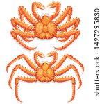 Alaskan king crab. Vector illustration.