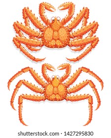 Alaskan king crab. Vector illustration.
