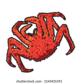 Alaskan king crab vector in isolated white background.