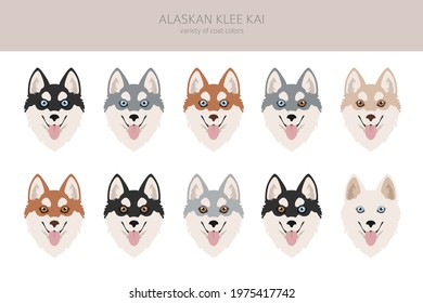 Alaskan klee kai all colours clipart. Different coat colors set. Vector illustration