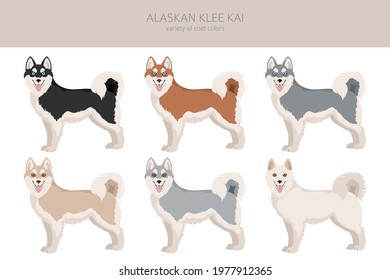 Alaskan klee kai all colours clipart. Different coat colors set. Vector illustration