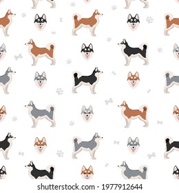 Alaskan klee kai all colours seamless pattern. Different coat colors set. Vector illustration