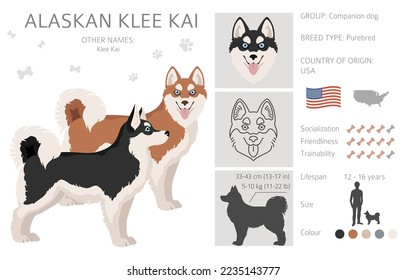 Alaskan klee kai all colours clipart. Different coat colors set. Vector illustration