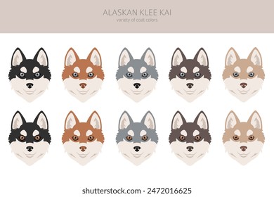 Alaskan Klee Kai all colours clipart. Different coat colors set. Vector illustration