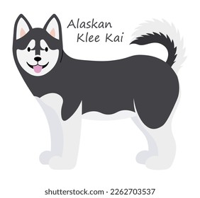 Alaskan Klee Kai Dog cute animal in colorful cartoon style isolated on white background. Vector graphics. With an appearance similar to his larger ancestors, the Siberian and Alaskan Huskies,