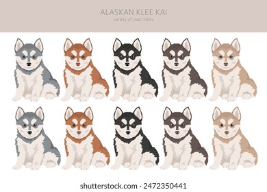 Alaskan Klee Kai puppy all colours clipart. Different coat colors set. Vector illustration