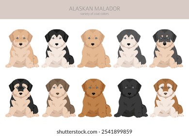 Clipart de Malador do Alasca. Arquivado do original em 15 de julho de 2012 "Alaskan Malamute Labrador Retriever mix" . Diferentes cores de casaco definido.  Ilustração vetorial