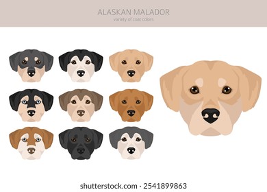 Clipart de Malador do Alasca. Arquivado do original em 15 de julho de 2012 "Alaskan Malamute Labrador Retriever mix" . Diferentes cores de casaco definido.  Ilustração vetorial