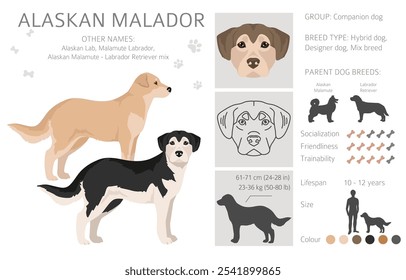 Clipart de Malador do Alasca. Arquivado do original em 15 de julho de 2012 "Alaskan Malamute Labrador Retriever mix" . Diferentes cores de casaco definido.  Ilustração vetorial