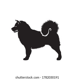 Alaskan malamute - dog breed - isolated vector illustration