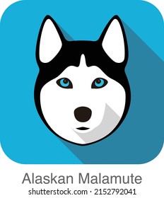 Alaskan Malamute Dog face portrait flat icon design, vector illustration