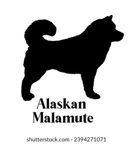 Alaskan Malamute Dog silhouette dog breeds logo dog monogram logo dog face vector