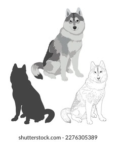 Vector de perro malamute de Alaska aislado en fondo blanco.