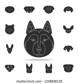 Alaskan Malamute face icon. Detailed set of dog silhouette icons. Premium graphic design. One of the collection icons for websites, web design, mobile app