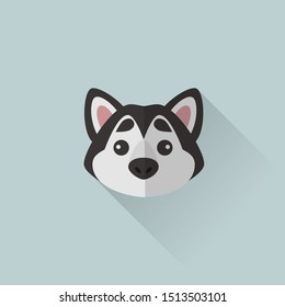 Alaskan Malamute Head Vector Flat Design Illustration from Front View Suitable for Website Icon, Social Media, Blog Post, Dog Related Business Stationery and Greeting Card