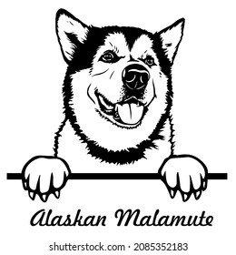 Alaskan Malamute. Peeking Dogs. Breed face head isolated on white. Vector clipart. Cut cutting file