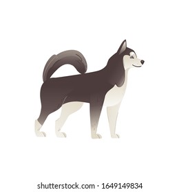 Alaskan Malamute o siberiana husky tierno perro de linaje norte dibujo plano ilustración del vector aislado en fondo blanco. Carácter doméstico animal o cachorro de mascota.