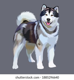 Alaskan malamute siberian husky vector