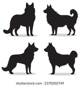 Alaskan Malamute silhouettes and icons. Black flat color simple elegant Alaskan Malamute animal vector and illustration.