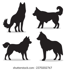Alaskan Malamute silhouettes and icons. Black flat color simple elegant Alaskan Malamute animal vector and illustration.