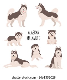 Alaskan malamute. Vector illustration of cartoon cute dogs and puppies in various poses. Isolated on white.