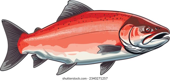 Alaskan salmon vector art still life painting flat illustration