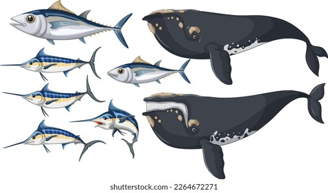 Albacore fish and Bowhead whale and Atlantic blue marlin illustration