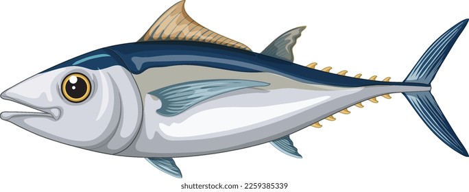 Albacore Tuna on white background illustration