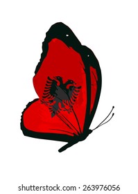 Albanian flag butterfly - vector