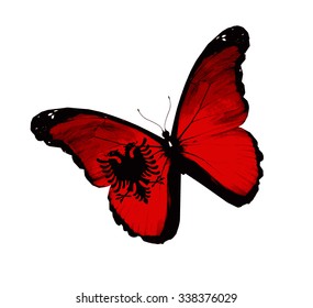 Albanian flag butterfly - vector