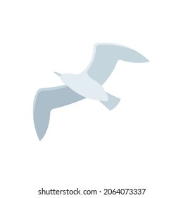 Albatross abstract symbol. Flying albatross vector illustration. Bottom view.  
