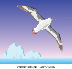 Albatross bird in flight vector ullustration 