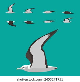 Albatross Bird Flying Animation Sequence Cartoon Vector Illustration