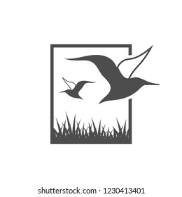 Albatross bird graphic design template vector illustration
