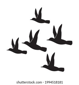 Albatross bird set, icon vector illustration symbol