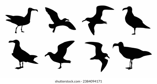 Albatross bird silhouettes set. Vector illustration