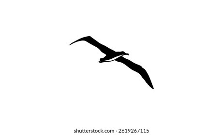 Albatross bird symbol, black isolated silhouette