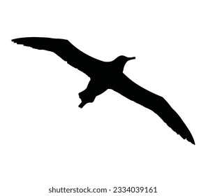 Albatross Black Silhouette Vector Desain