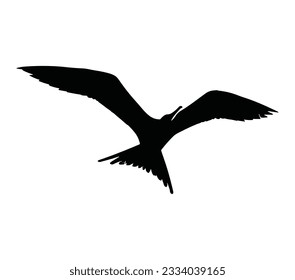 Albatross Black Silhouette Vector Desain