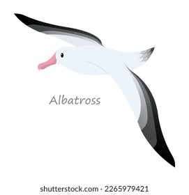Albatross (Diomedeidae) Bird cute animal in colorful cartoon style isolated on white background. Vector graphics. It have The largest wingspan of any bird in the world. and soars gracefully above the 