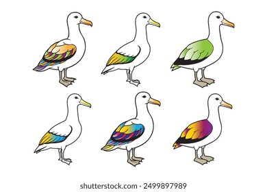 Albatross icon in filled, thin line, outline and stroke style. Vector illustration .