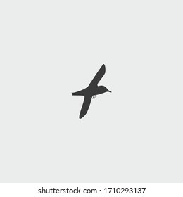 albatross icon. albatross vector on gray background