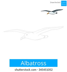 Albatross learn birds educational game coloring book vector illustration