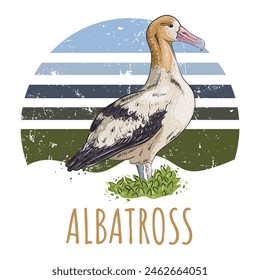 Albatross sea bird. The pink-billed seabird lives on rocks near the sea or ocean. Vector illustration on a vintage background in the colors of mountains sky and ocean.