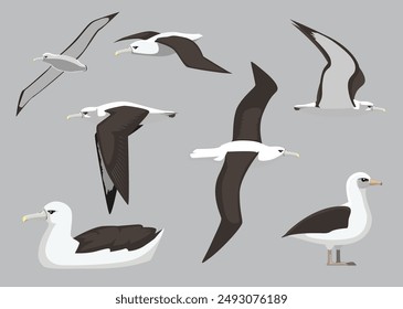 Albatross Sea Bird Various Poses Cartoon Vector Illustration Isolated Character