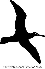 albatross silhouette, albatross silhouette black vector illustration