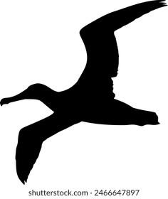 albatross silhouette, albatross silhouette black vector illustration