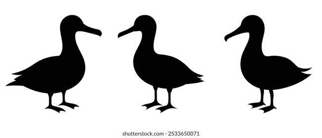 Ilustración vectorial de Paquete Albatross Silhouette